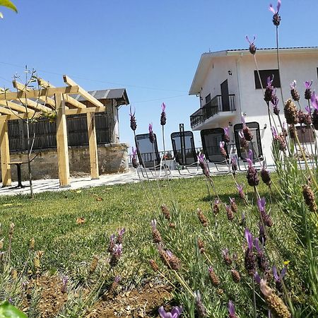 Abrigo Das Andorinhas Aveiro Eksteriør bilde
