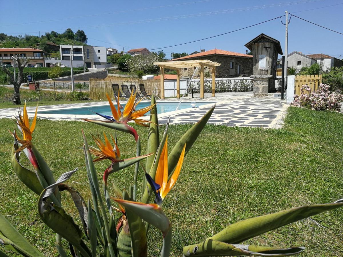 Abrigo Das Andorinhas Aveiro Eksteriør bilde